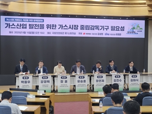 “가스도 전기처럼”…중립적 가스시장 감독기구 설치 목소리 커져