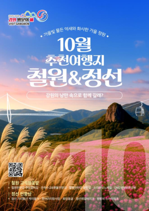 강원도 철원엔 ‘은빛 억새·가을 꽃물결’… 정선엔 ‘아리랑 가락 넘실’