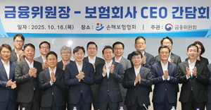 보험사, 내년 저출산 지원 3종세트 도입…소비자 부담 1200억원↓