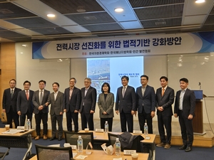 발전사업자 1000배 증가했는데, 제도는 20년전 그대로…발전업계 “근본적 개편 필요”