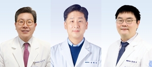 분당서울대병원 “뇌졸중 재활, 병원 중심에서 지역사회 분담으로”