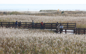 [주말날씨] 평년보다 따뜻, 일요일 중부지방 약한 비