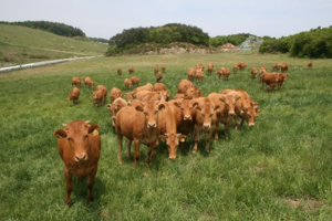 [E-로컬뉴스]강원도 소식