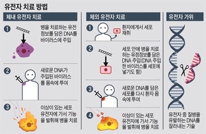 첨단재생의료, 실손보험 손해율 악화 ‘복병’…가이드라인 필요