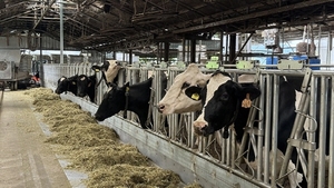 농업인의 날에 주목하는 국산 우유의 품질 경쟁력