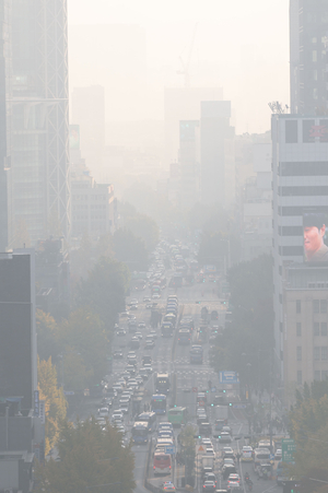 [환경포커스] 미세먼지, 노인 심장·혈관·뇌를 위협한다