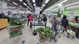 [르포] 마트 가보니 ‘김장족’ 바글바글…‘김포족’ 겨냥 상품김치도 ‘쑥’