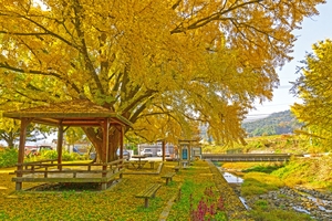 [특집]세계가 주목한 도시, 다시 빛나는 경주