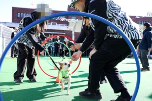 [E-로컬뉴스] 대구 달서구·북구, 영남대, 대구대, 경북문화관광공사, 대구보건대, 경주시, 영천시·의회, 청도군, 칠곡군, DGIST