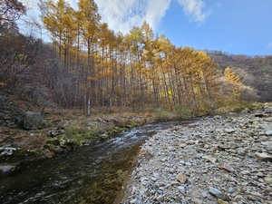 가을빛으로 물든 석포면, 7대 힐링 관광지 공개…걷고 쉬고 머무는 ‘가을 여행지’ 주목