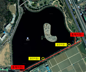 수원시 축만제 큰기러기 폐사체서 고병원성 AI 확진...총력 대응 나서