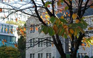 중앙대 원격미래교육원, 2026년 1월 개강 신입생 모집