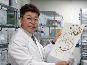 경희대 김호철 교수, WHO ‘세계 21대 혁신’ 연구 선정