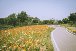 이권재 오산시장 “오산천, 감사나무 조성 등으로 공동체적 의미 담은 장소로 발돋움” 강조