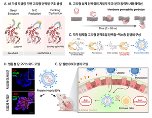 한양대 이동윤·김영필 교수팀, 식물 엑소좀 기반 경구형 IBD 치료 기술 개발