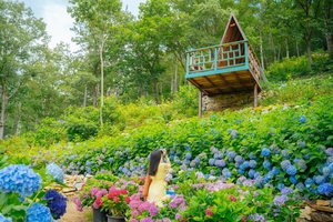 [E-로컬뉴스] 해남군, 완도군, 진도군 소식