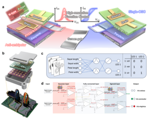 한양대 유호천 교수팀, 세계 최초 ‘스크린 게이트 기반 아날로그 활성함수 트랜지스터’ 개발… AI 반도체 혁신 가속