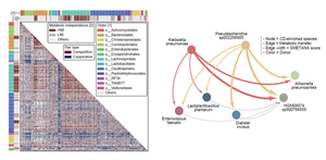 연세대 이인석 교수팀, 인체 장내 미생물 ‘지도’ 완성
