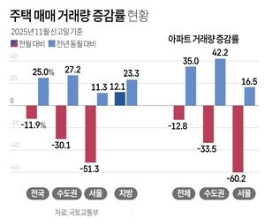 10·15 대책 ‘통했다’…11월 서울 아파트 거래량 60% 급감