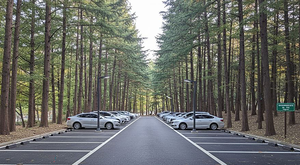 성남시, 하이테크밸리 근린공원에 150면 주차장 조성...공단 종사자 주차 편의 ↑