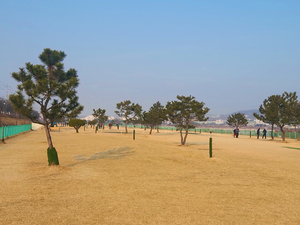 경북 북부권 지자체, 공공성 강화·청년 농정·문화 경쟁력까지