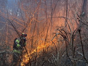 경북 의성 산불 3시간 만에 주불진화...강한 눈발 덕