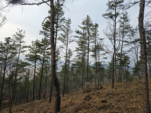 경북 북부권 산림·경제·체육·방역·기업 경쟁력까지…