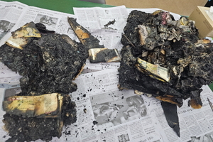 지난해 손상화폐 2.8조원…지구 한 바퀴 돈다