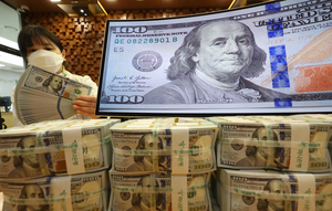 달러보험 3배 늘자 ‘경고등’...금융당국, 보험사 경영진 소집