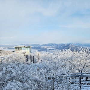 [E-로컬뉴스] 해남군, 완도군, 진도군 소식