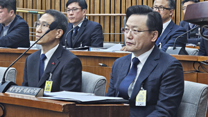 [포토 뉴스] 무안공항 참사 국회 청문회에 출석한 김이배 제주항공 대표