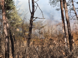 봉화 재산면 현동리 산불 진화 막바지…진화율 80% “일몰 전 주불 진화 총력”
