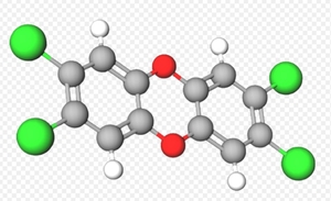 [환경포커스] 발암물질 다이옥신 섭취 주의…15%는 관리 필요