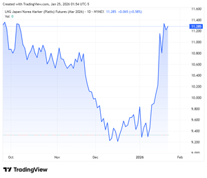 북반구 한파에 천연가스 가격 급등…에너지 수입 비상
