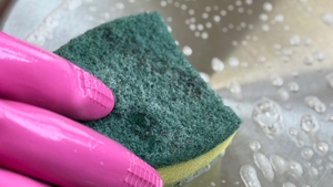 주방 일회용 고무장갑과 수세미가 가족 건강을 위협할 수도