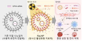 성균관대, 암세포 파괴하는 ‘방사선 활성화형 지질 나노입자’ 개발