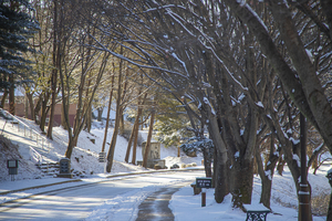 경기관광공사와 떠나는 겨울의 백미, 경기도 설경 명소