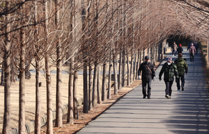 4일 입춘 기온 ‘포근’…동해안 강한 바람에 산불 주의보