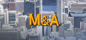 국민성장펀드 본격화…‘M&A 시장’ 향하는 대규모 자금