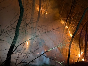 경주시, 잇단 산불에 ‘산불대응 1단계’ 발령