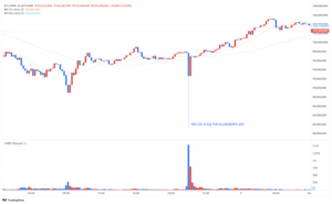 빗썸 비트코인 오지급…실수라기 보다 ‘예고된 부실사고’