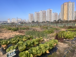 [E-로컬뉴스] 김천시, 구미시, 상주시, 문경시, 성주군, 고령군 소식