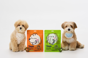 동아제약, 반려견 덴탈껌 ‘벳플 브이츄’ 2종 출시