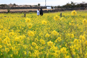 낮 최고 12도까지 올라 ‘포근’…미세먼지는 ‘나쁨’