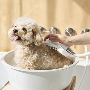 신세계까사 ‘자주’, 마사지샤워기 등 반려동물용품 10종 출시