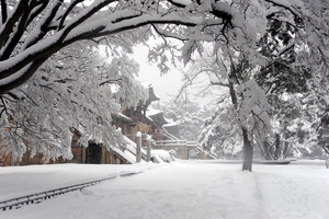 [특집]설 연휴, 천년고도 경주에서 만나는 ‘과거와 현재’