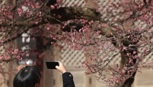 [설 연휴 날씨] 18일도 맑고 포근…아침엔 영하권