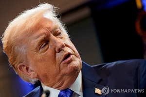 美 관세 위법판결에 일본·인도 등 각국 ‘신중 모드’