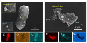 [환경포커스] 미세플라스틱, 하늘에서 내리는 보이지 않는 위협
