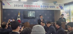 ‘RE-BORN 대가야’…고령 대가야 축제, 체류형 전환 선언